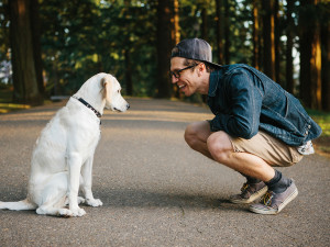 man and lab puppy on park road