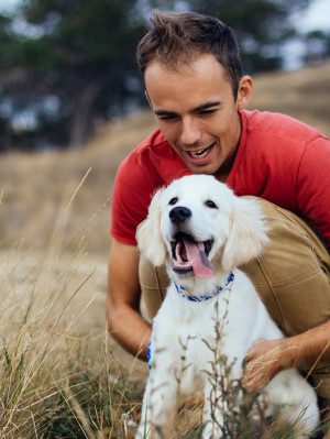 Young Man With Retriever Puppy