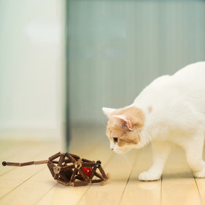 a cat sniffs a silver vine toy