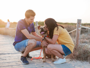 Couple hug their Pit Bull dog outside on the beach.