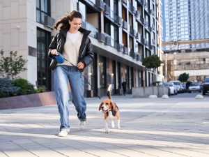 Woman running with her cute spotted beagle while enjoying good weather and playing together in the city.