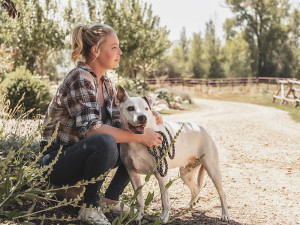 Katherine Heigl poses with her dog