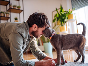 Man cuddling his gray cat.