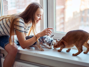 Woman playing with her cat and dog.