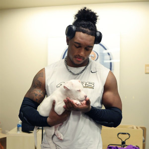 Humane Society Silicon Valley brought puppies to the see the San Francisco 49ers.