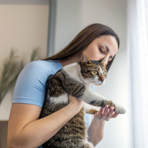 Young girl cuddling and holding her cute cat.