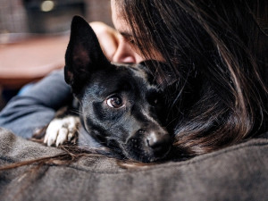 Woman holding black dog.