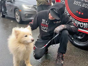 No Dogs Left Behind organization and a rescued small fluffy dog.