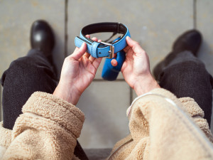 a person holding a dog collar