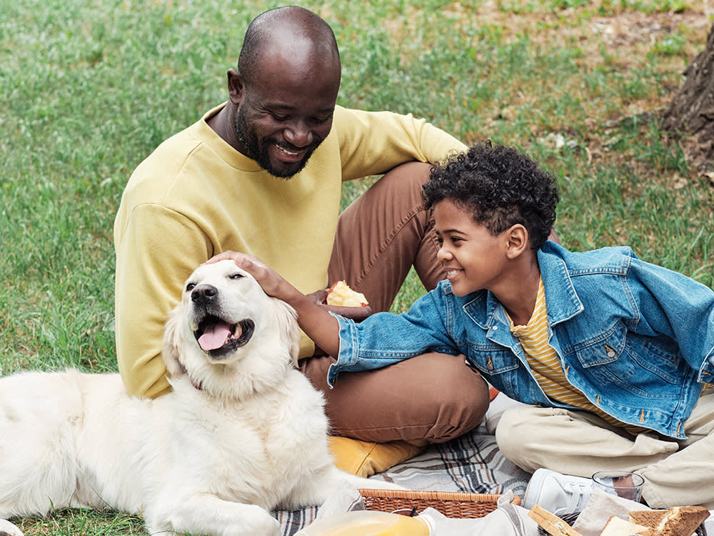 Father and son have a picnic with their Lab dog.