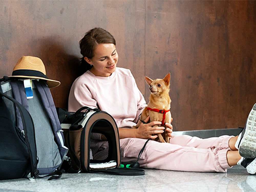 Woman getting ready to travel with her small brown dog at the airport.