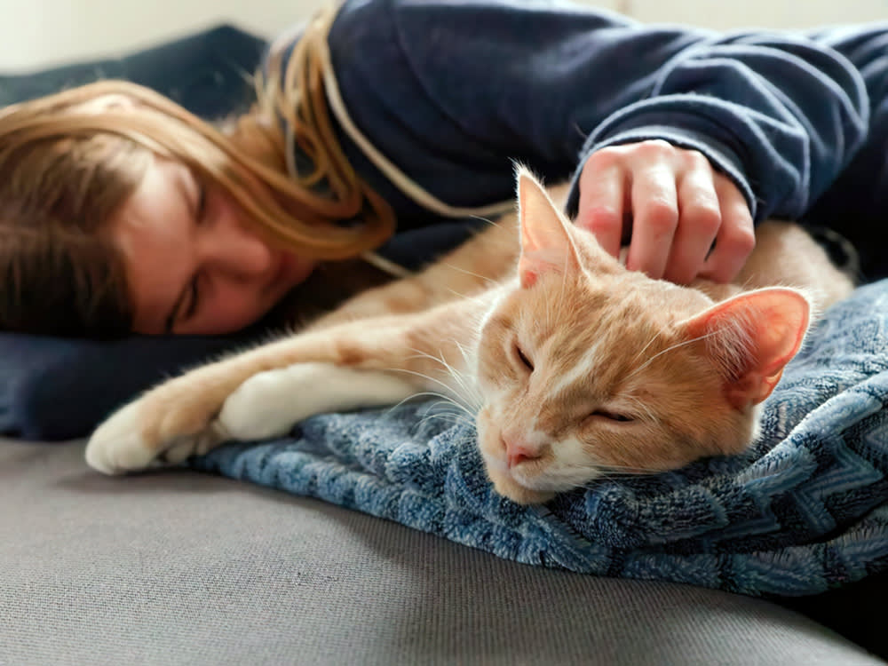 Woman petting her cat at home on the floor.