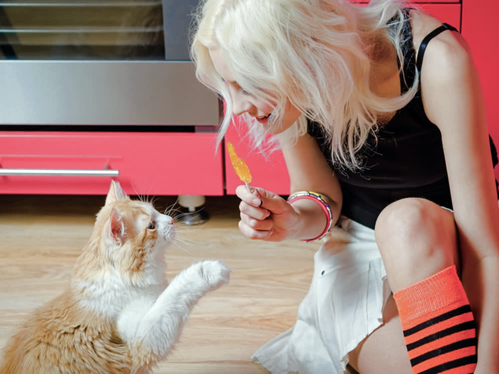 woman holding out popsicle to her cat