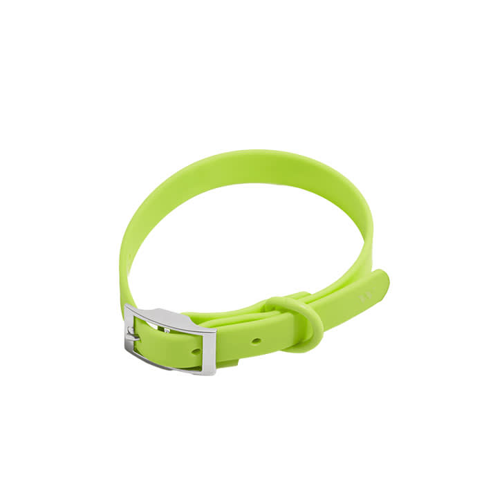 wild one dog collar in limeade 