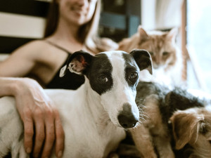 Woman cares for two dogs and a cat while sitting