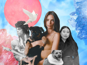 Prince, Awkwafina, and Emily Ratajkowski all pose with their pets