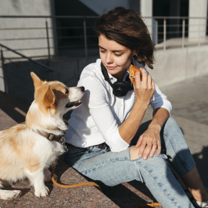 corgi giving woman puppy dog eyes begging for food